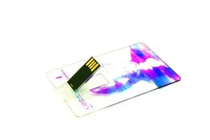 Klasik Döner Plastik Kart USB Flash Bellek ED021